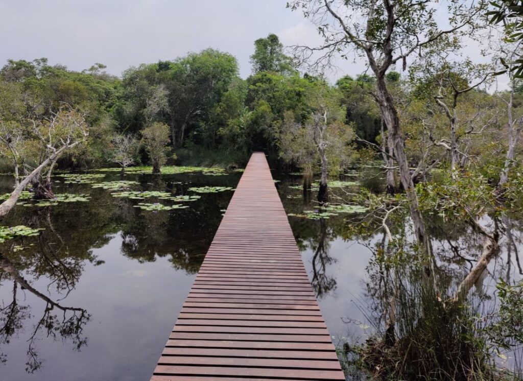 Silta Rayong Botanic Garden